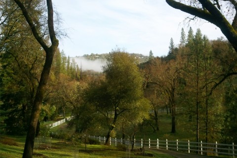 School of Creation, Grass Valley, retreat